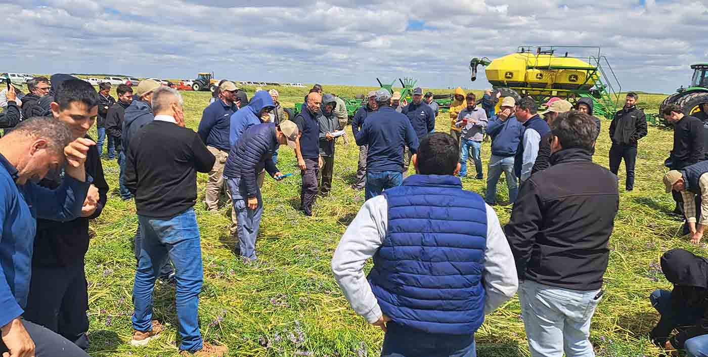 AGD: Lograron convertir la lluvia en riego, jubilaron el barbecho con suelo vivo